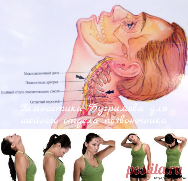 остеохондроз шейного отдела лфк упражнения. шейный хондроз упражнения для шеи. упражнения при остеохондрозе шейного отдела позвоночника. гимнастика пришейном осте. упражнения для шеи при остеохондрозе шейного отдела.