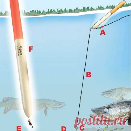 Способы ловли: Поплавочная оснастка для ловли щуки и судака на мертвую рыбку