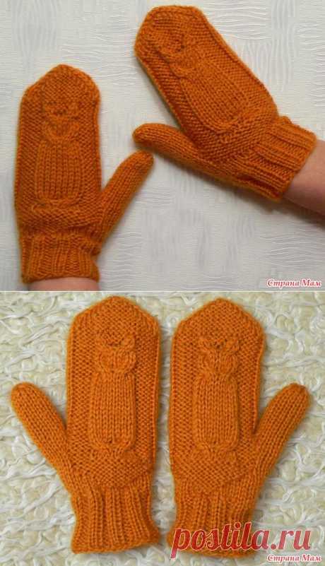 Двойные рукавички СОВЫ от НО15151
