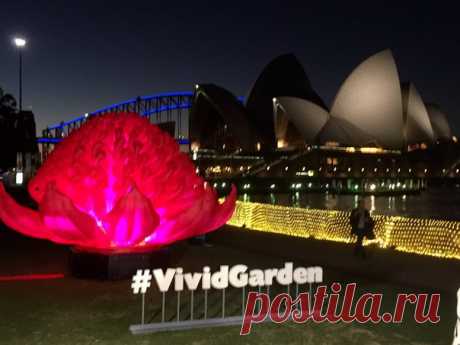 Световая инсталляция Vivid Garden в Сиднее / Солнышко