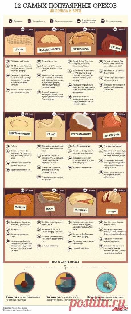 12 самых популярных орехов: их польза и вред..