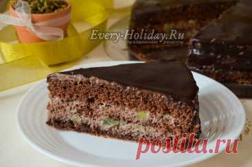 Шоколадный бисквит, рецепт с фото пошагово с какао в духовке