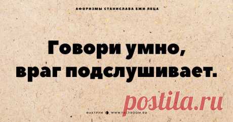 Обалденные афоризмы Станислава Ежи Леца, которые хочется цитировать