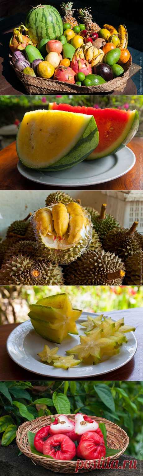 25 тропических фруктов, которые нужно попробовать в Азии