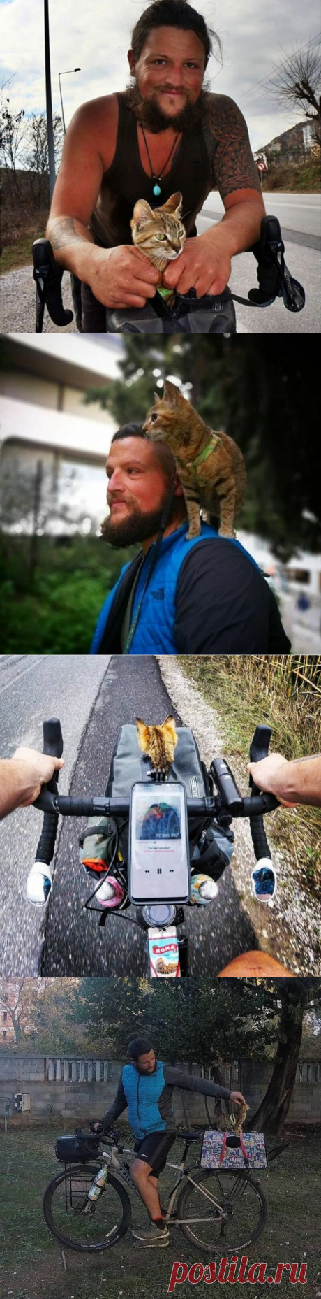 Шотландец колесит по миру с кошкой / Туристический спутник