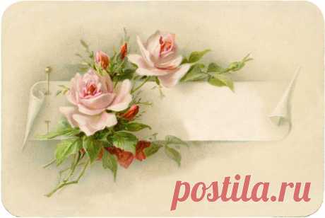 25 Victorian Calling Card Images! - The Graphics Fairy