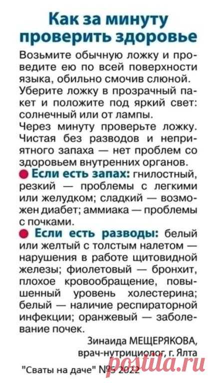 Бабушкин Блокнот - Заметки | OK.RU