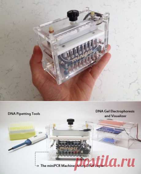На Kickstarter появился портативный анализатор ДНК - PCNEWS.RU