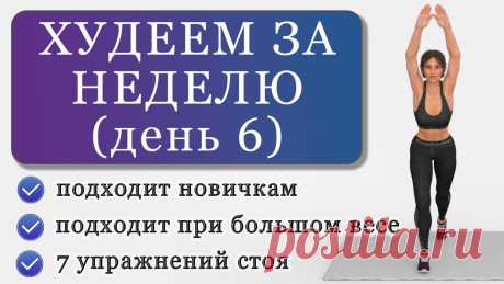 Как похудеть за неделю: тренировки для новичков или людей с большим лишним весом (День 6) | Фитнес с GoodLooker | Яндекс Дзен