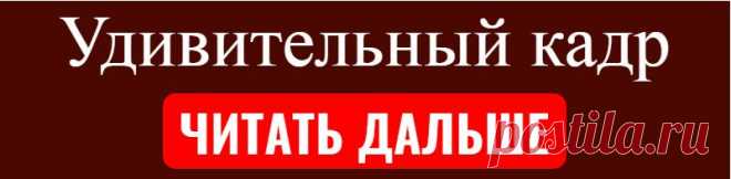 Удивительный кадр
Дорожки между грядок всегда являлись проблемным местом любого огорода. В период затяжных...
Читай дальше на сайте. Жми подробнее ➡