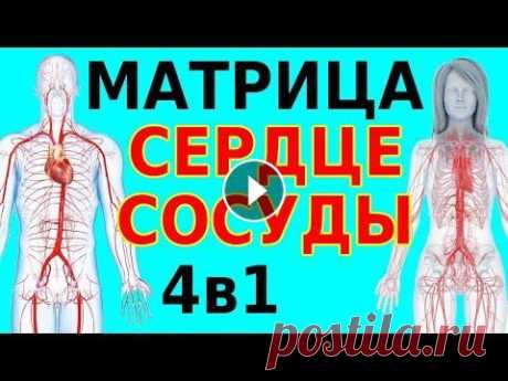 Матрица Гаряева сердечно-сосудистая система. Программа оздоровления № 2-2. Медитация с формулами 4в1 Используется универсальная матрица Гаряева для коррекции сердечно-сосудистой системы. Инструкция к матрицам Гаряева: Медитации с матрицами Гаряева: Ме...