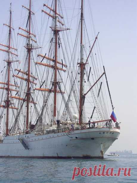 Sedov Tall ship | Great Ships of the Sea