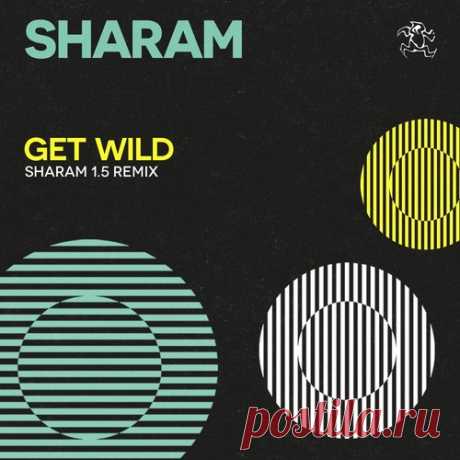 Sharam, Mario Vazquez - Get Wild - 15th Anniversary free download mp3 music 320kbps