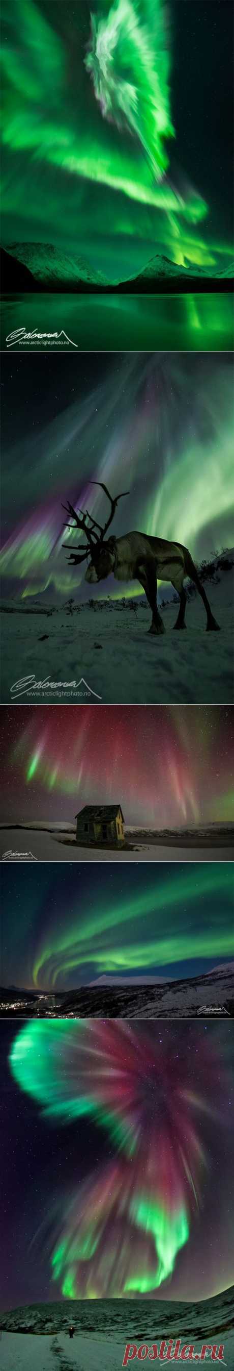 Завораживающее северное сияние из Норвегии. Фотограф Оле Си Саломонсен (Ole С Salomonsen) - Фотоискусство