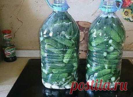А вы пробовали делать засолку огурцов в пластиковых бутылках?