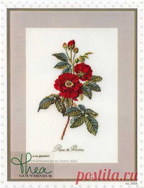 Вышивка крестом, схемы Роза красная Rose de Provans