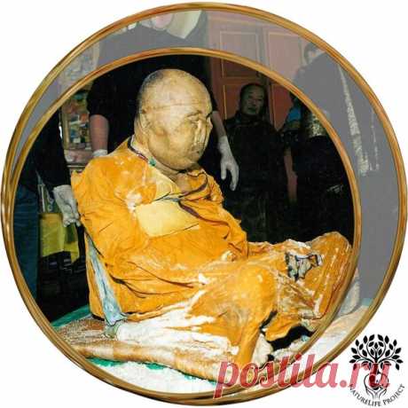 Глава буддистов Восточной Сибири умер в позе медитации | NatureLife Project | Яндекс Дзен
