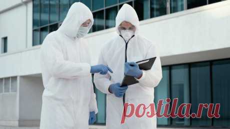 18-3-24--Россиян предупредили о вирусе ПТИЧЬЕГО ГРИППА с летальностью 50%, который вызовет новую пандемию - Здоровье Mail.ru