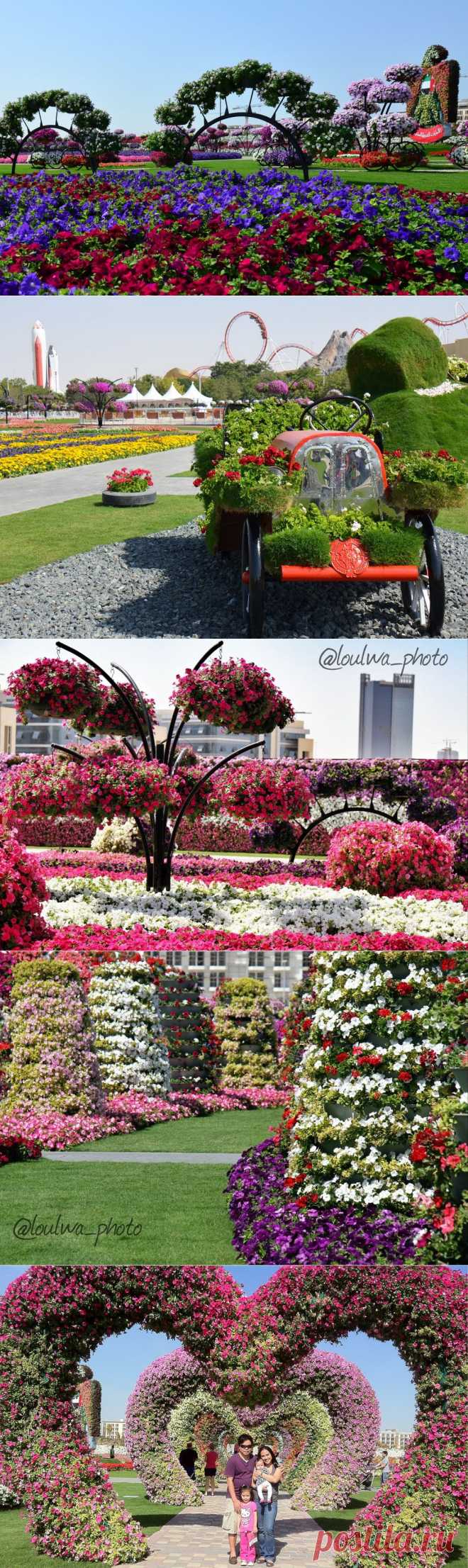 Самый большой в мире парк цветов — Dubai Miracle Garden | Newpix.ru - позитивный интернет-журнал