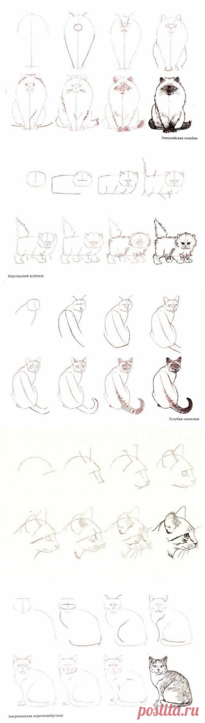 (+1) - Рисуем кошку МК | СВОИМИ РУКАМИ