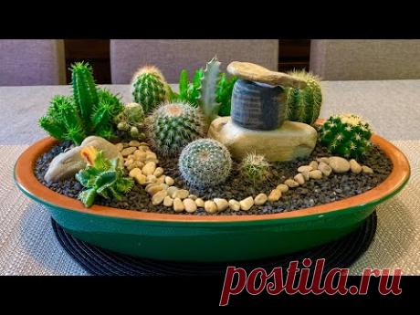 Cacti and Succulents Arrangement