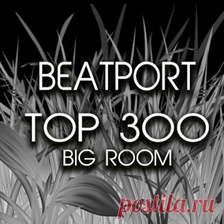 BIG ROOM BEATPORT TOP 300 DJ TRACKS 2022.12.13 DATA CREATED: 12/12/2022  	QUALITY: MP3/320 kbps  	GENRE: Jackin House, House, Tech House, Minimal / Deep Tech, Funky House, Nu Disco / Disco, Melodic House &
