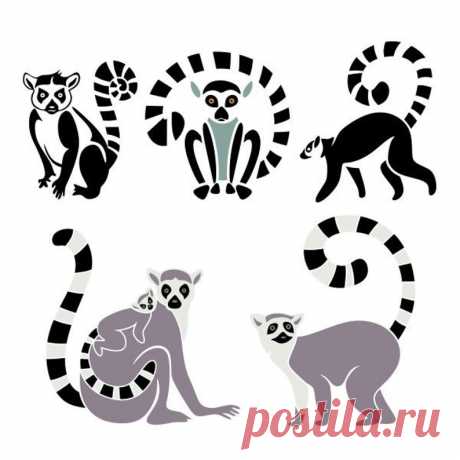 Lemur Animal Cuttable Design SVG PNG DXF & eps Designs Cameo | Etsy