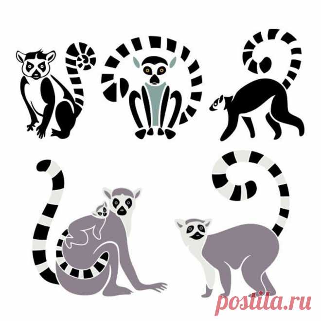 Lemur Animal Cuttable Design SVG PNG DXF & eps Designs Cameo | Etsy