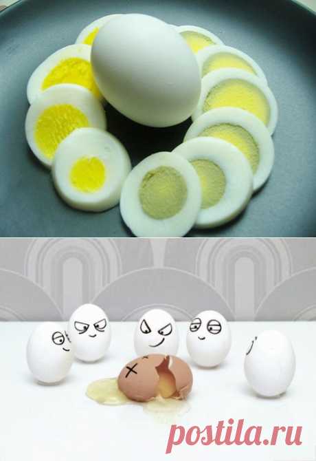 Как я не варю яйца