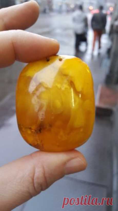 Natural Old Antique Yellow Butterscotch Egg Yolk Baltic Amber Stone 36 90 GR | eBay