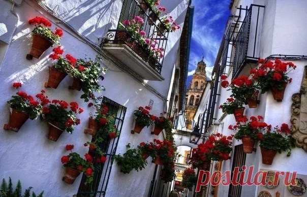 Цветочный фестиваль в Кордова, Испания. - Путешествуем вместе