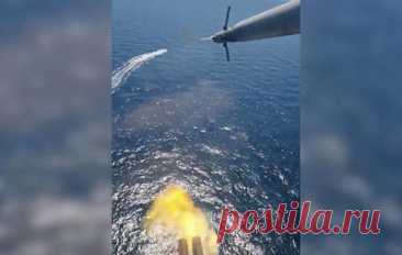 МО РФ сообщило об уничтожении 15 безэкипажных катеров ВМС Украины в течение дня. В министерстве отметили, что судна шли в сторону Крыма