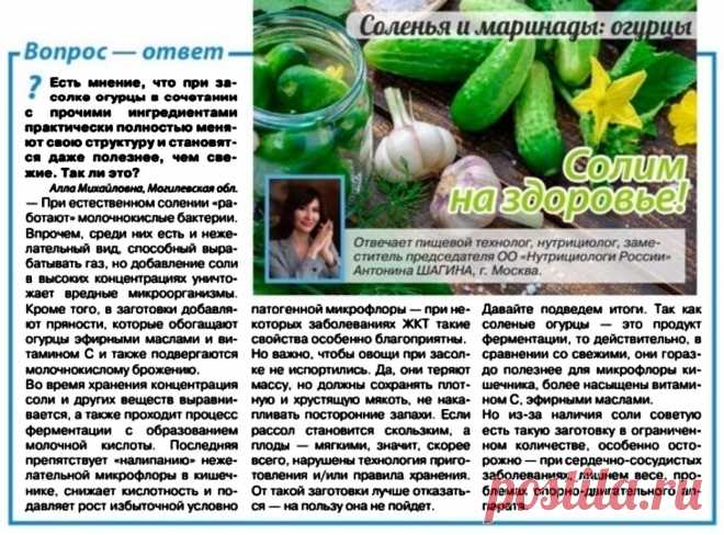 Полезны ли соленые огурцы