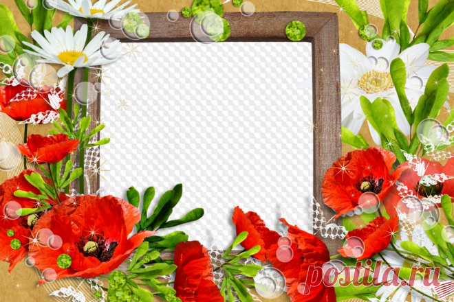White daisies and red poppies, frame for Photoshop. Transparent PNG Frame, PSD Layered Photo frame template, Download.