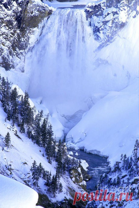 Frozen in Time Yellowstone National Park Print by Dave Welling