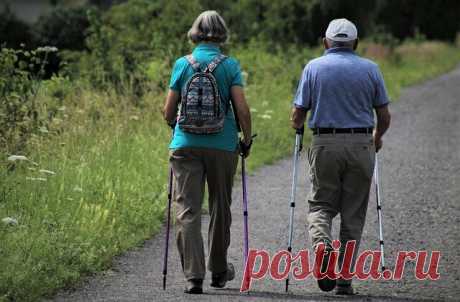 Скандинавская ходьба — мой путь к здоровью. Польза для пожилых людей | Блоггерство на пенсии | Яндекс Дзен
