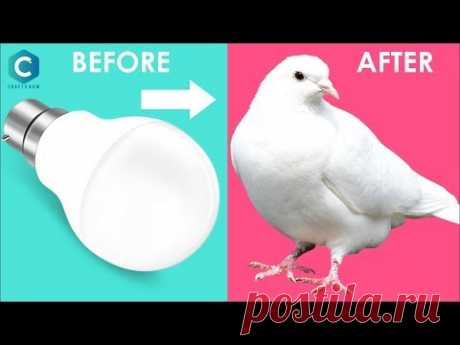 How to Make Pigeon with Bulb | Pigeon Making with Cotton | Pigeon Making | #cottoncrafts #crafts