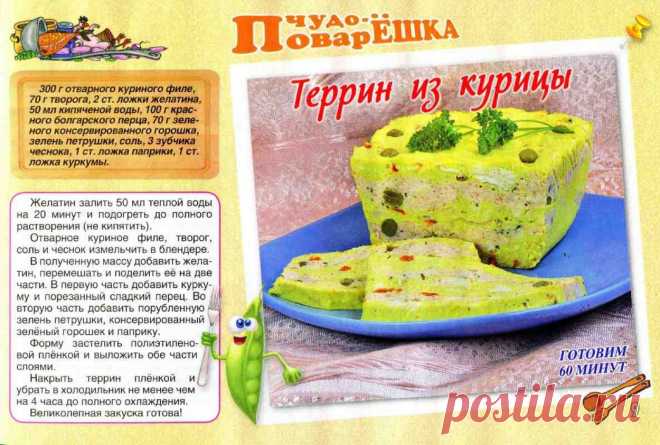 Террин из курицы