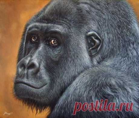 Quadro con Gorilla su Commissione Realizzato da Roberto Rizzo Un primo piano di gorilla nella mia ultima opera su commissione | Dipinti con animali di Roberto Rizzo.