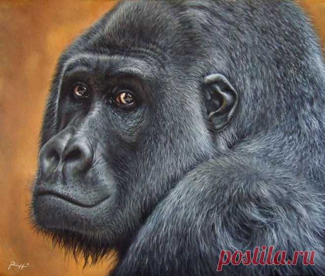 Quadro con Gorilla su Commissione Realizzato da Roberto Rizzo Un primo piano di gorilla nella mia ultima opera su commissione | Dipinti con animali di Roberto Rizzo.