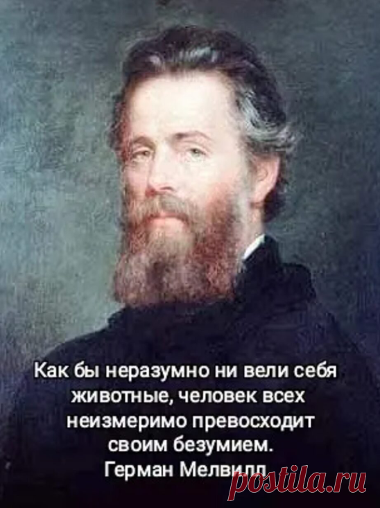 Дельную мысль высказал Герман Мелвилл. Человек опаснее любого животного по... | Интересный контент в группе Ship Shard