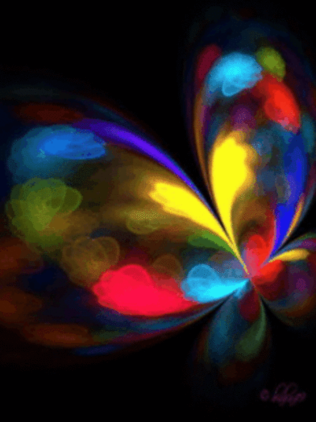 Butterflies images Rainbow Butterfly,Animated wallpaper and background photos (8272366)
