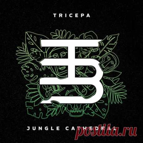 Tricepa - Jungle Cathedral [Bridge & Tunnel Beat Co]
