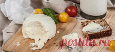Сыр в домашних условиях – рецепт адыгейского, российского и плавленого сыра, моцареллы, халуми и сулугуни