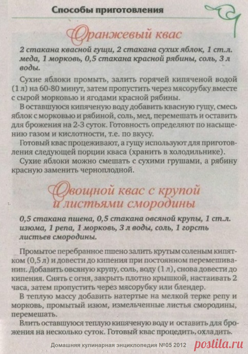 Оранжевый квас. Овощной квас с крупой и листьями смородины