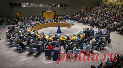 Голосование по ближневосточным резолюциям США и России пройдёт 25 октября. Постпредство Бразилии заявило, что голосование по проектам ближневосточной резолюции Совета Безопасности ООН, подготовленным США и Россией, пройдёт 25 октября. Читать далее