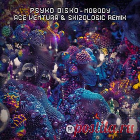 lossless music  : Psyko Disko - Nobody (Ace Ventura &amp; Skizologic Remix)