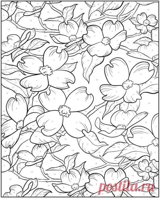 (24) Welcome to Dover Publications | Noelle