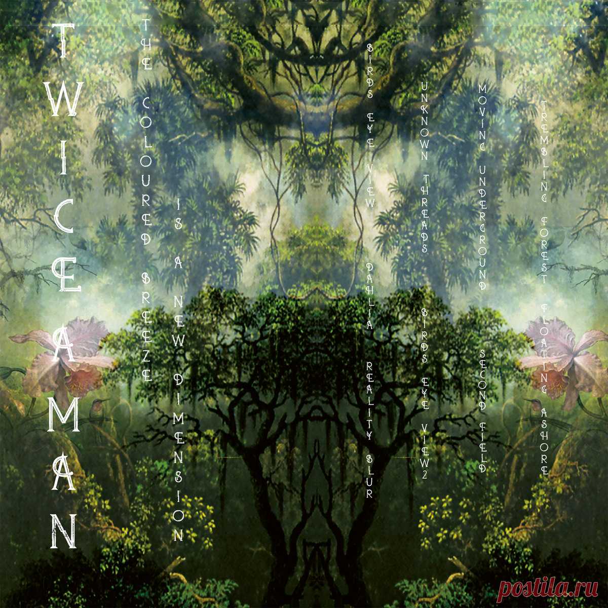 Twice a Man - The Coloured Breeze is a New Dimension (2025) 320kbps / FLAC