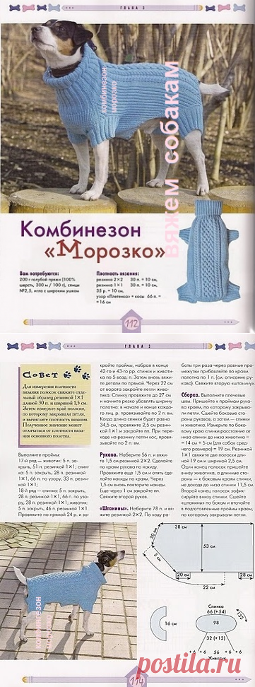 Вязаные комбинезоны для собак спицами схемы Комбинезон для собачки вязание спицами Постила